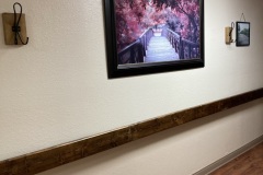 IMG-7558