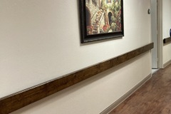 IMG-7561